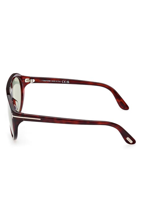 Tom Ford Men's Rex T-logo Aviator Sunglasses In Red Havana/green