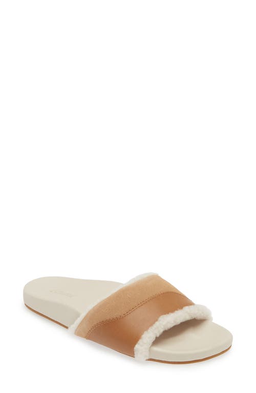 Olukai Hō‘ala Genuine Shearling Slide Sandal In Tan/puka