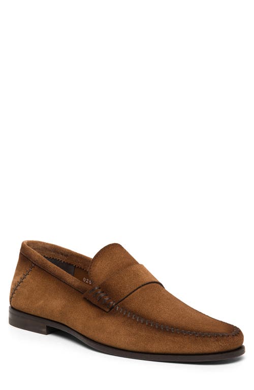 Santoni Paine Loafer Brown at Nordstrom,