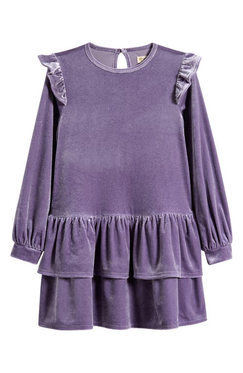 TUCKER + TATE TUCKER + TATE KIDS' SPARKLE RUFFLE LONG SLEEVE VELVET DRESS 