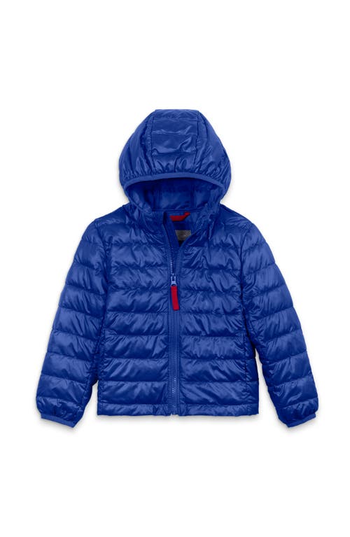 Shop Primary Kids Lightweight Puffer Jacket In Cobalt