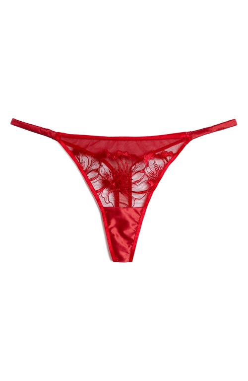 Etam Amaryllis Embroidered Thong In Red