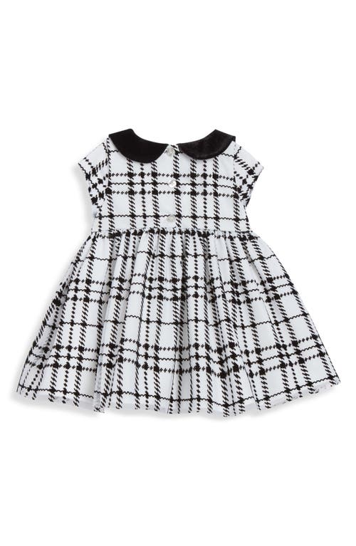 Shop Pippa & Julie Patti Plaid Collared Dress & Bloomers Set In Ivory