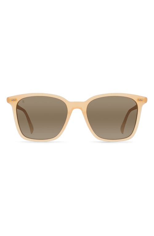 Darine Oversize Polarized Square Sunglasses in Nectar/Mink Gradient Mir