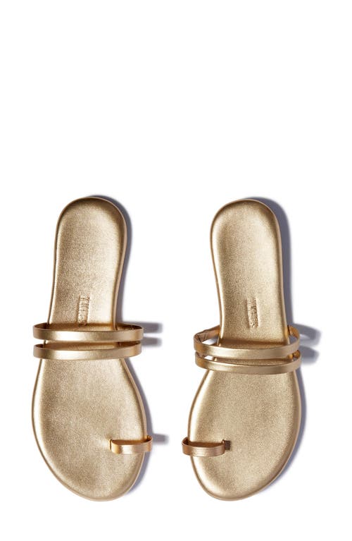 Shop Tkees Leah Toe Loop Sandal In Blink