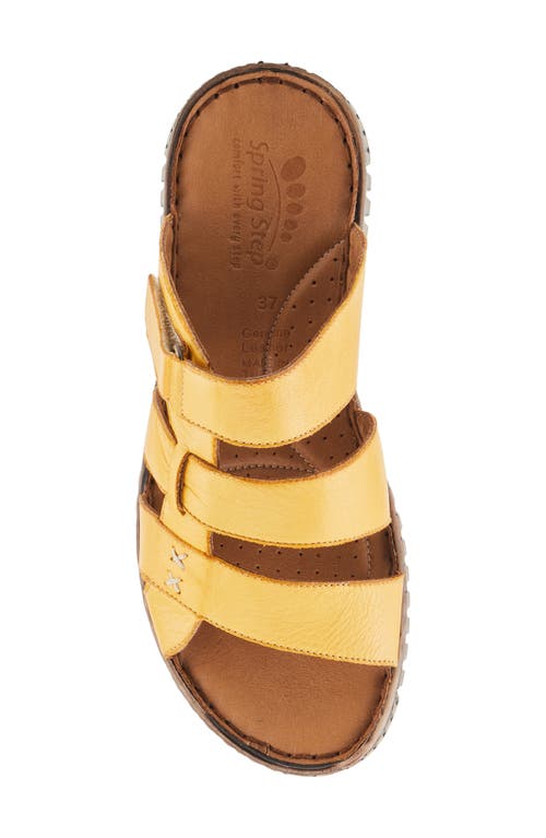 Spring Step Olly Slide Sandal In Mustard
