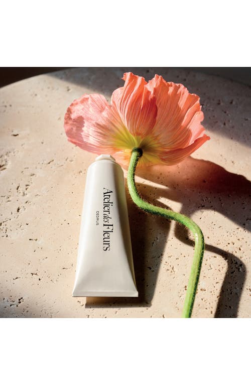 Chloé Cedrus Hand Cream In No Color