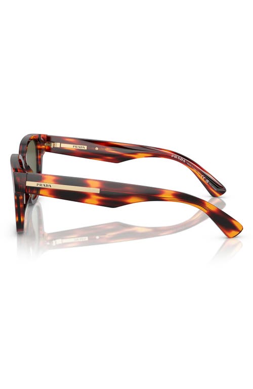 Prada 52mm Polarized Pillow Sunglasses In Havana Red