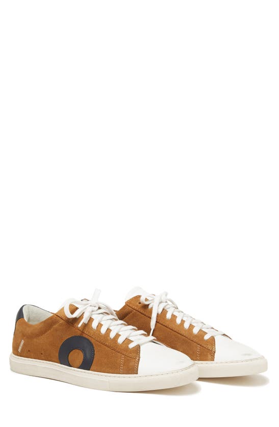 Shop Oliver Cabell Low 1 Sneaker In Wheat