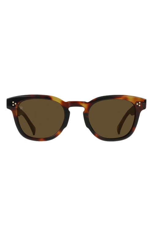 Shop Raen Squire 49mm Round Sunglasses In Kola Tortoise/caramel
