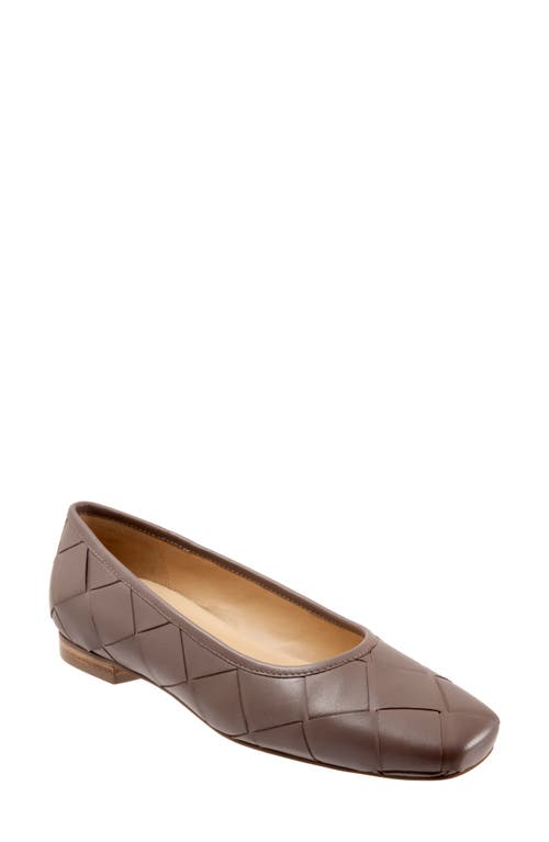 Trotters Hanny Flat Taupe at Nordstrom,