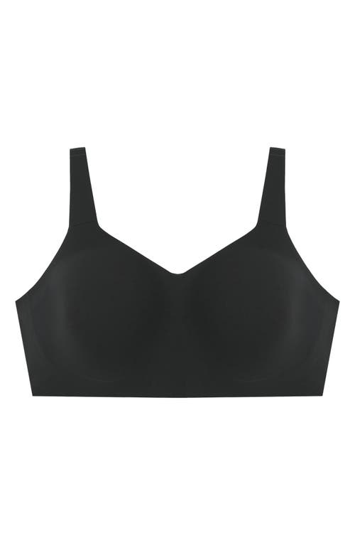 Shop Evelyn & Bobbie The Beyond Bra In Black