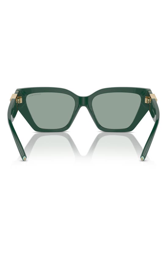 Shop Tiffany & Co . 55mm Cat Eye Sunglasses In Green