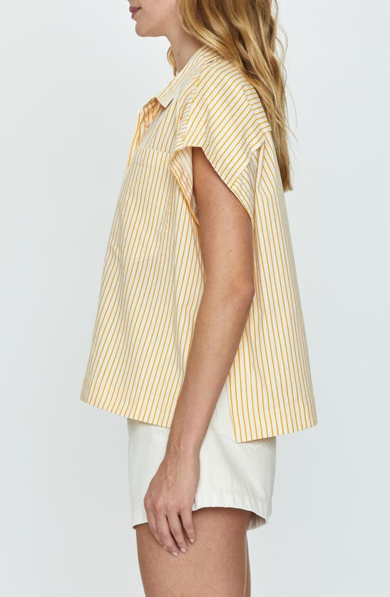 Shop Pistola Cara Stripe Short Sleeve Shirt In Marigold Stripe
