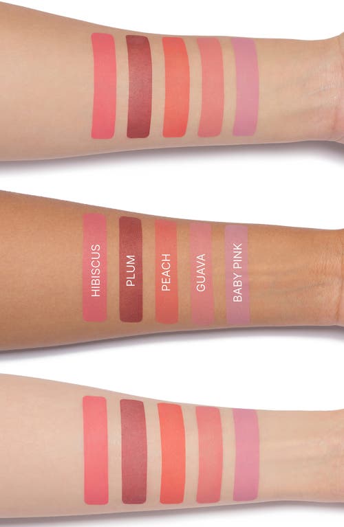 Anastasia Beverly Hills Blurring Serum Blush In Plum