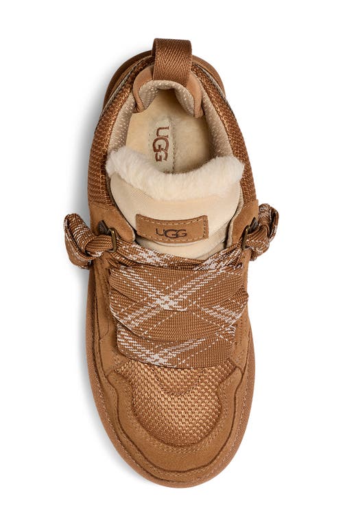 Ugg(r) Lowmel Sneaker In Chestnut