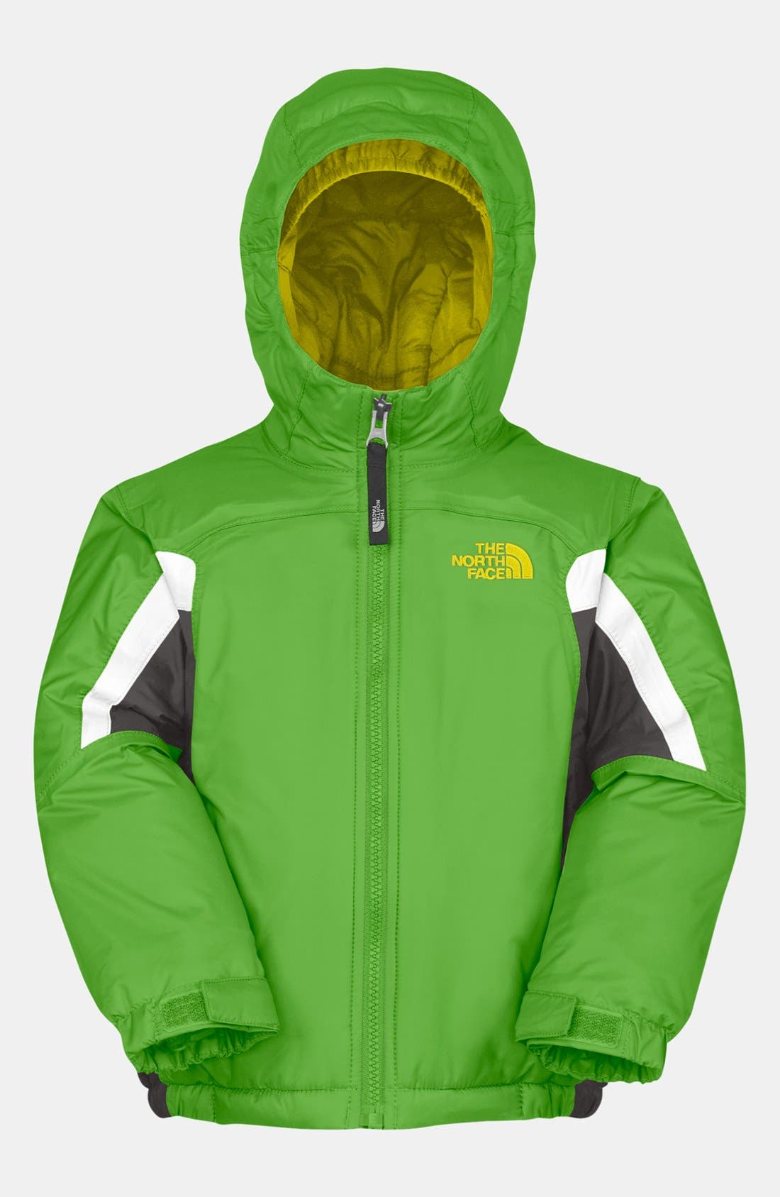 nordstrom toddler north face