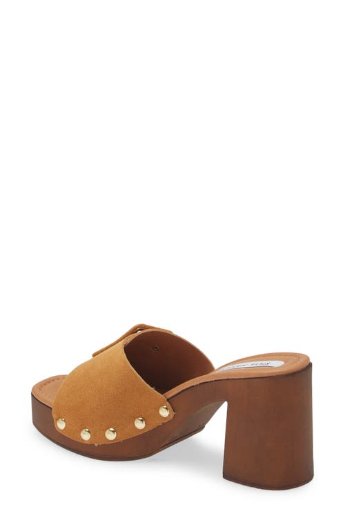 Shop Steve Madden Marlena Platform Clog In Sand Suede