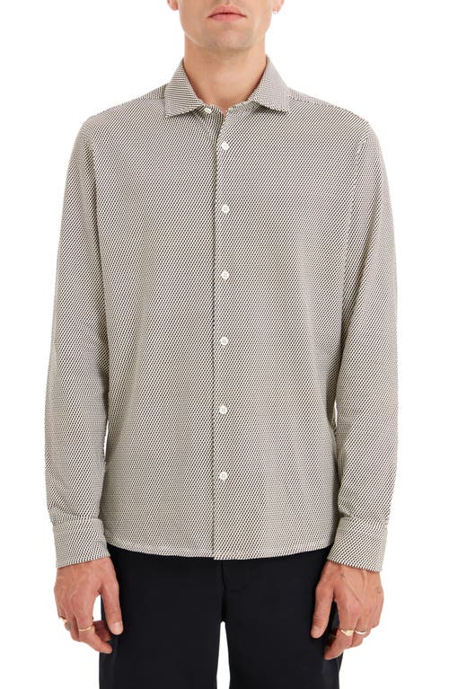 Hempnall Performance Organic Cotton Button-Up Shirt in Cream/Olive