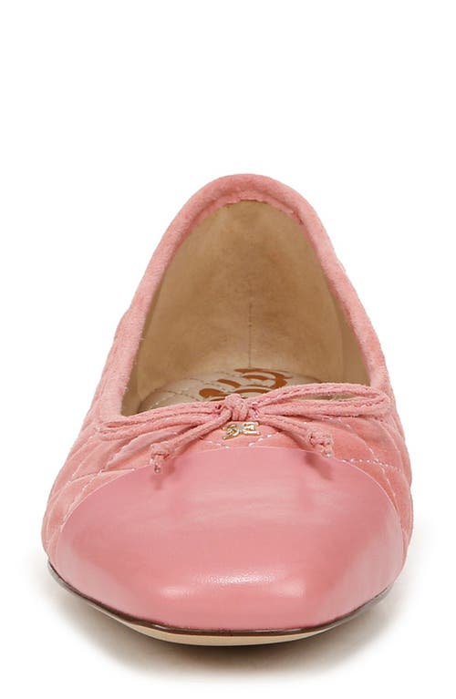 Shop Sam Edelman Marilyn Cap Toe Ballet Flat In Mod Pink