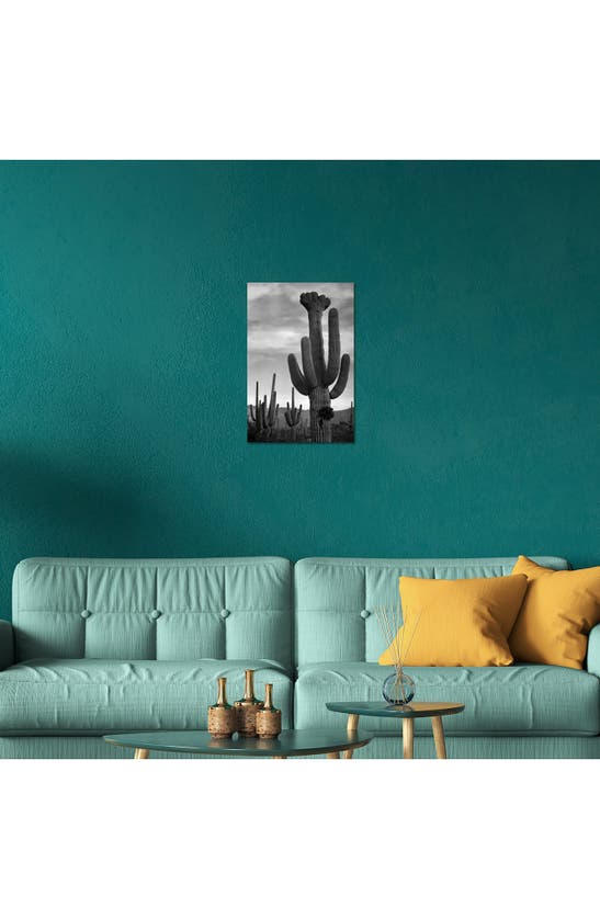 Icanvas Saguaros, Saguaro National Monument By Ansel Adams Canvas Wall Art In White-multi