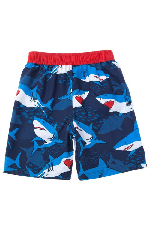 Shop Rokka&rolla Toddler Swim Trunks With Mesh Lining Upf 50+ In Baby Blue Shark