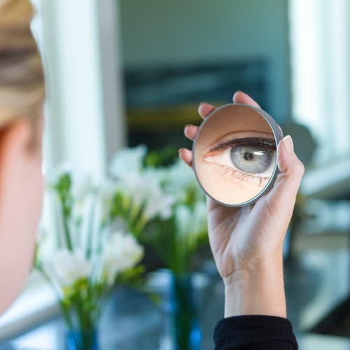 Zadro Compact Mirror With 10x Magnification & Suction Cup In Gray