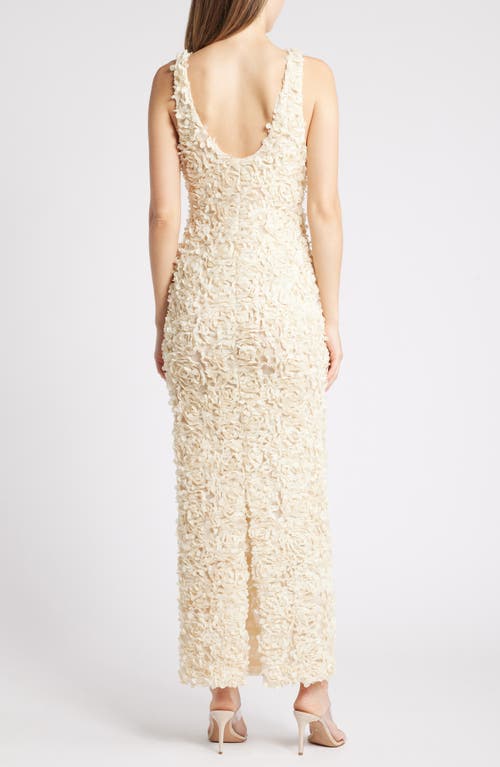 House Of Cb Carena 3d Floral Appliqué Plunge Neck Gown In Bleached Sand