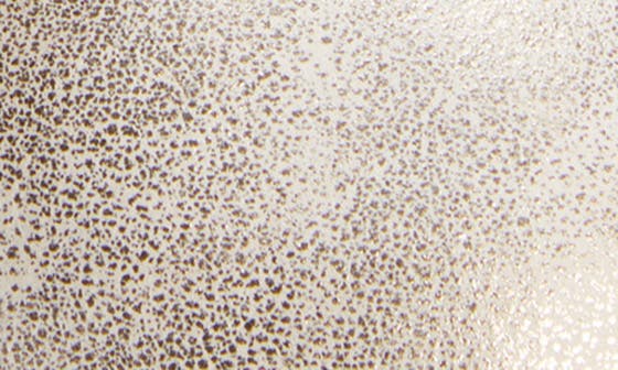 cozy ii metallic genuine shearling cuff slipper