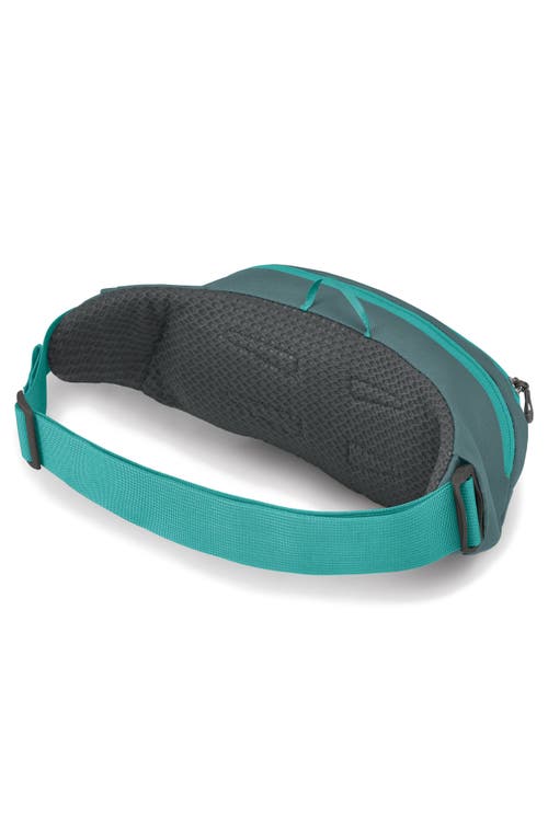 Shop Osprey Daylite Waist Pack In Jetstream Blue/cascade Blue