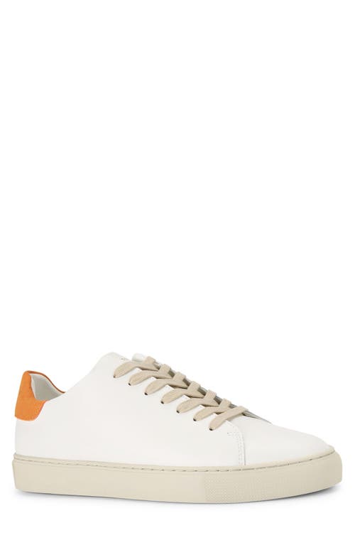 Shop Kurt Geiger London Lennon Low Top Sneaker In White