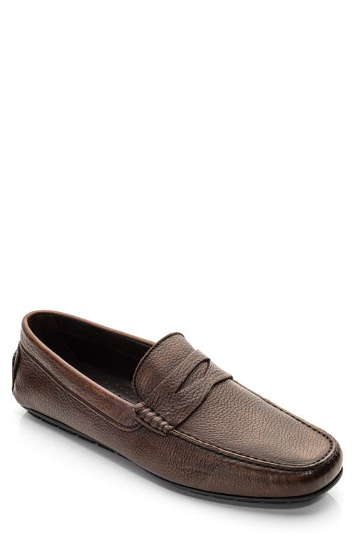 Vieques Driving Shoe in Cognac