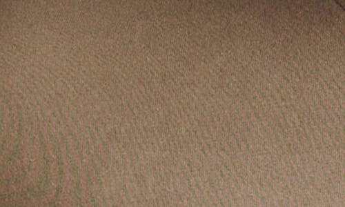 Lucky Brand Water Viper Graphic T-shirt In Bungee Cord