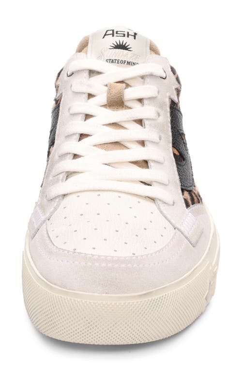 Shop Ash Moonlight Genuine Calf Hair Sneaker In Cheetah Calf Hair