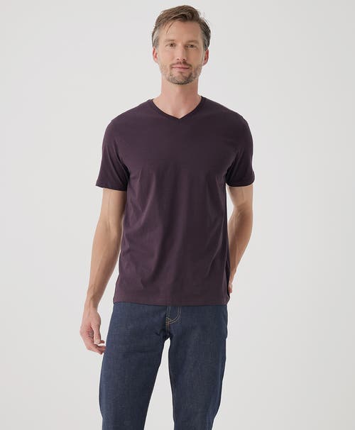 Shop Pact Organic Softspun V-neck Tee In Plum