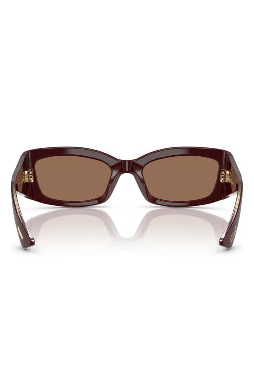 Oliver Peoples X Khaite 54mm Pillow Sunglasses In Burgundy