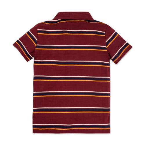 Shop Hope & Henry Boys' Organic Jersey Polo, Kids In Oxblood Stripe