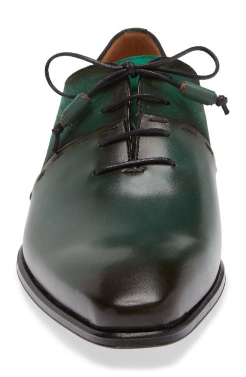Mezlan Colomer Oxford In Forest/green