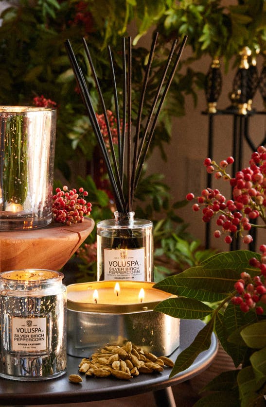 Voluspa Silver Birch & Peppercorn Classic Candle In Silver Birch