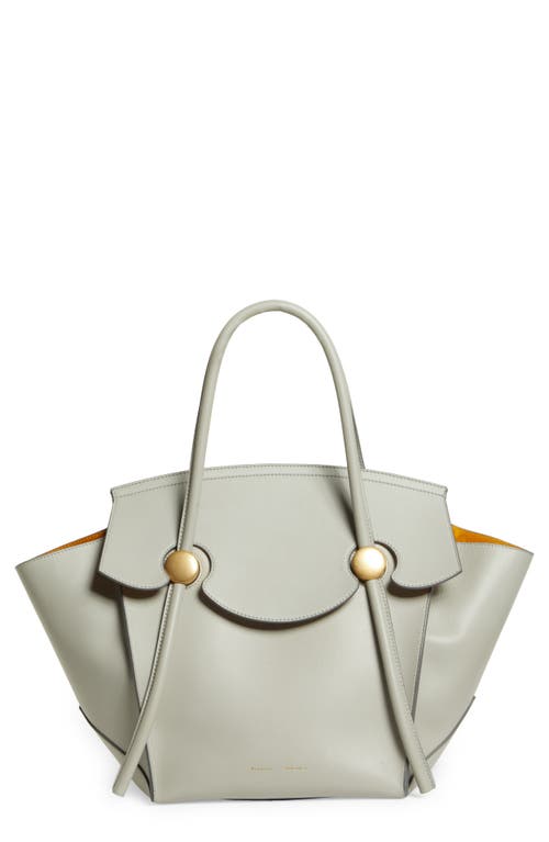Proenza Schouler Pipe Leather Tote in Drizzle