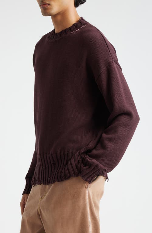 Shop Marni Oversize Distressed Cotton Crewneck Sweater In Wine