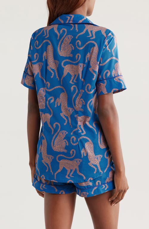 Desmond & Dempsey Woman Sleepwear Blue Size S Cotton In Chango Blue/pink