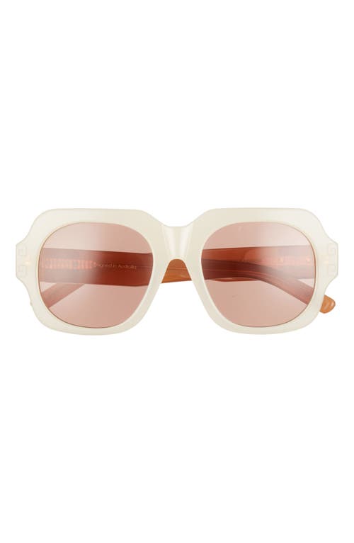 51.5mm Square Sunglasses in Milk Solid Brown Lenses