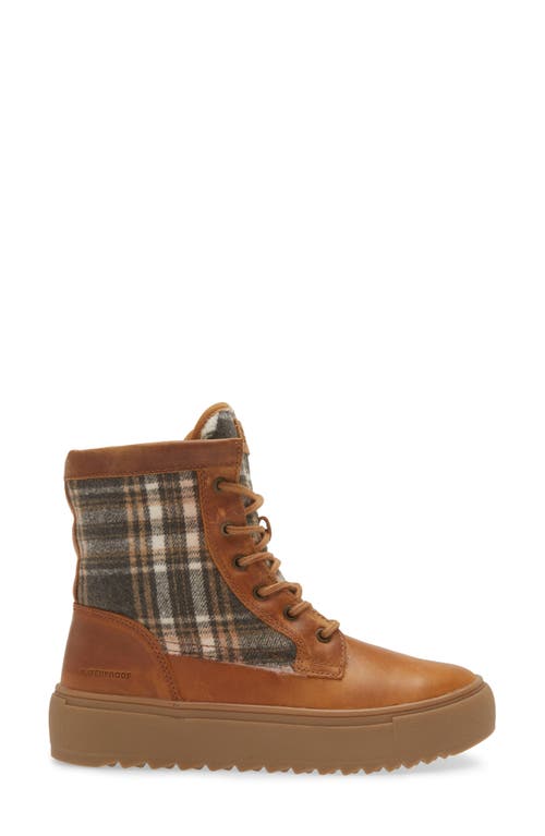 Cougar Apex Lace-up Boot In Butternut