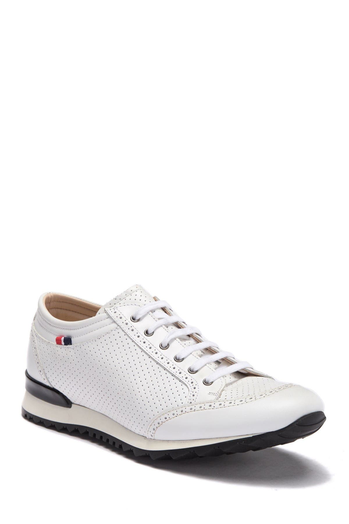 bucci sneakers