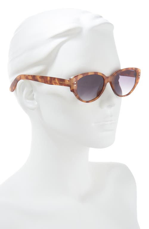 Vince Camuto 55mm Cat Eye Sunglasses In Honey Tortoise