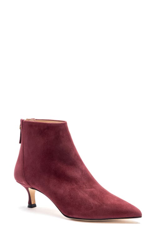 Shop Bruno Magli Francesca Pointed Toe Kitten Heel Bootie In Bordeaux Suede