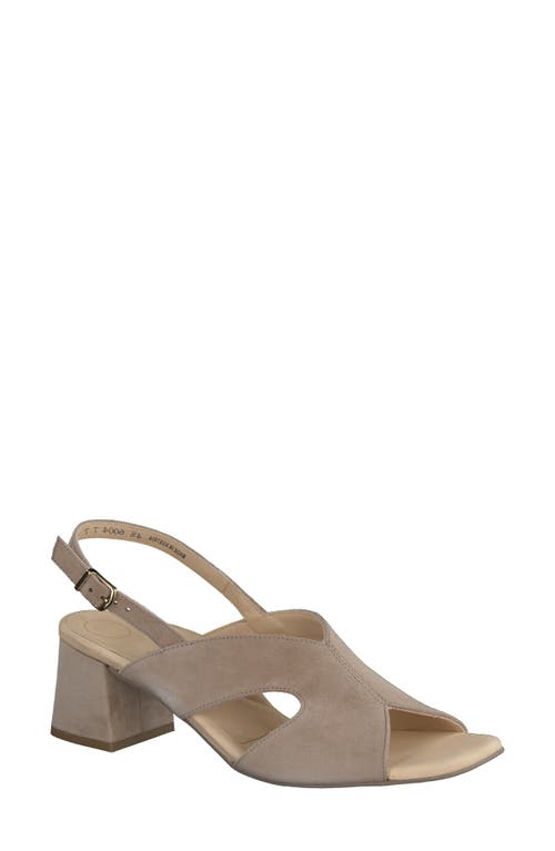 Remy Slingback Sandal in Champagne Suede