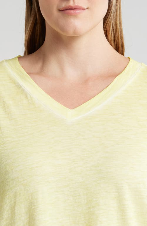 Shop Eileen Fisher Organic Cotton V-neck T-shirt In Citrus