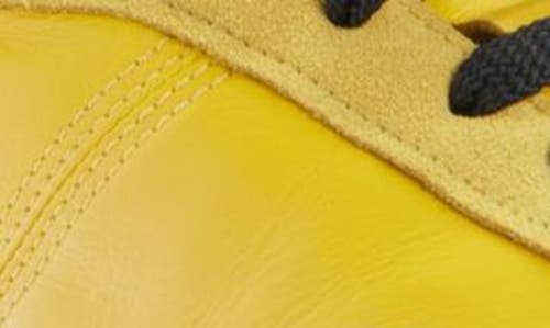 Shop Acne Studios Low Top Sneaker In Yellow/black